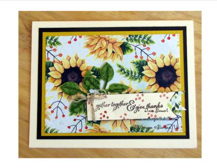 painted harvest with logo