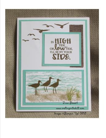 high tide birds