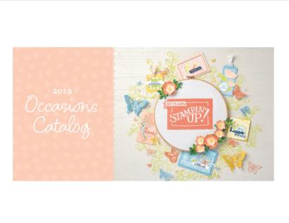 occasion 19 cat newsletter graphic