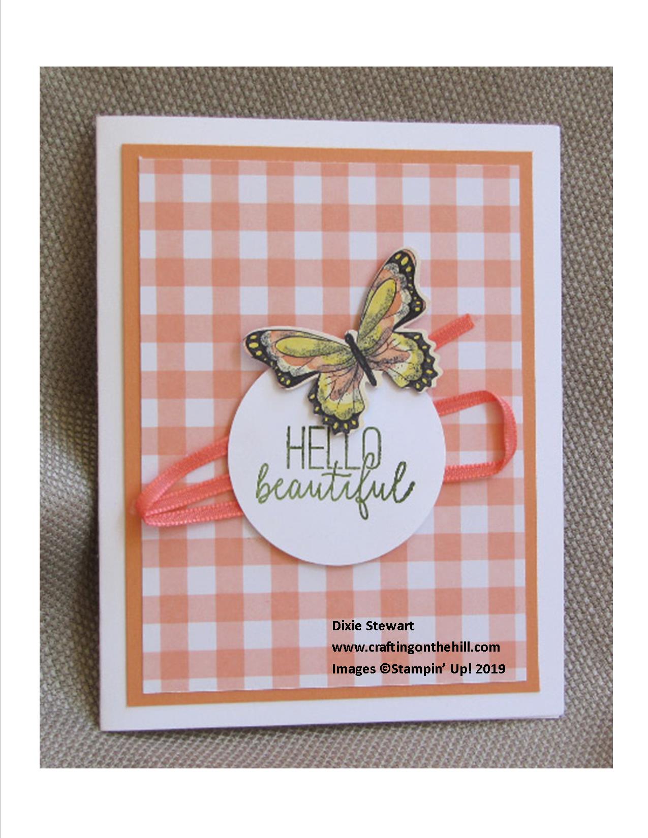 gingham butterfly grapefruit